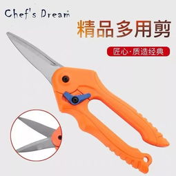 给你一条 salmon 你知道该如何处理吗